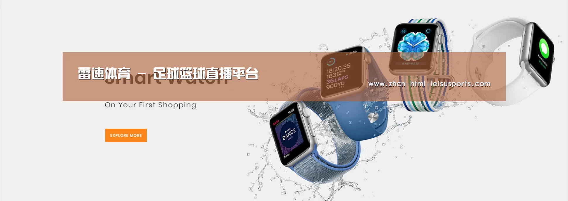 某某网络科技有限公司