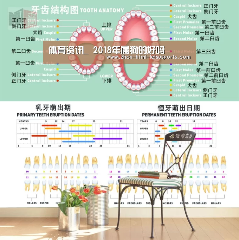 体育资讯_
2018年属狗的好吗(图1) 体育比分