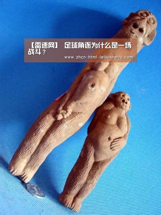 【雷速网】
足球角逐为什么是一场战斗?(图4) 比分直播