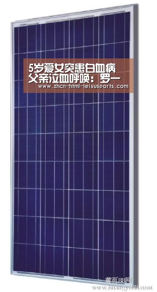 比分直播