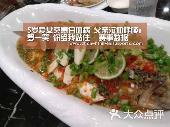  实时赔率