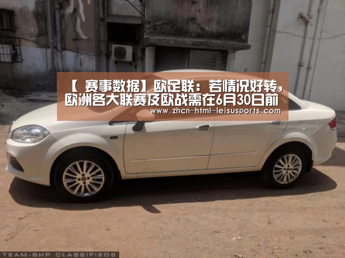  体育比分
