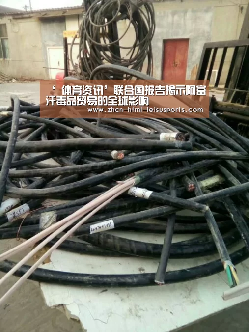 ‘ 体育资讯’联合国报告揭示阿富汗毒品贸易的全球影响(图3) 雷速网